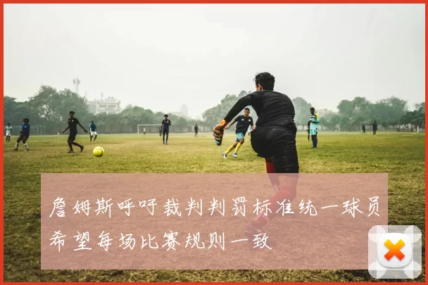詹姆斯呼吁裁判判罚标准统一球员希望每场比赛规则一致